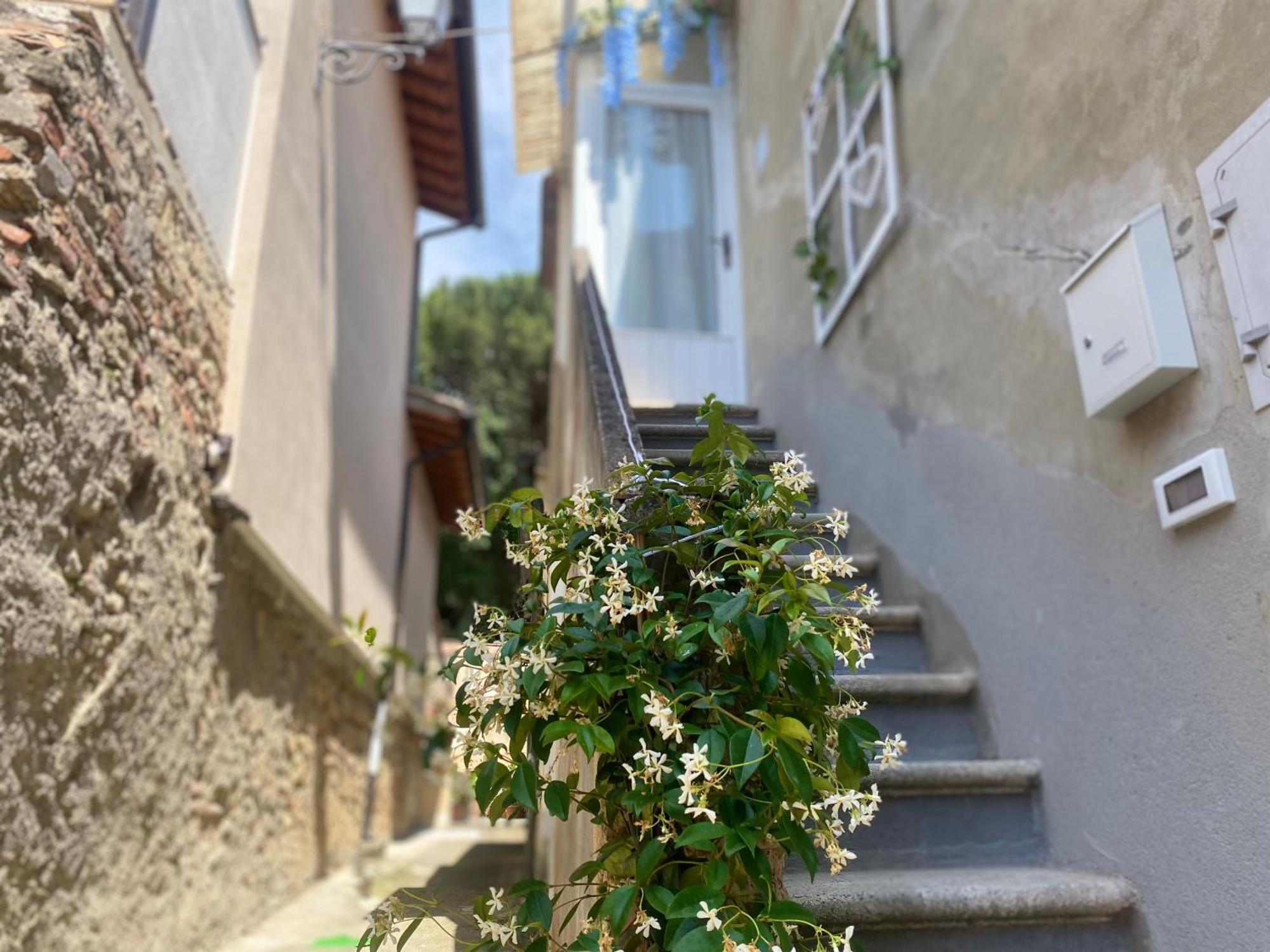 La Petite Maison Usigliano Exteriér fotografie